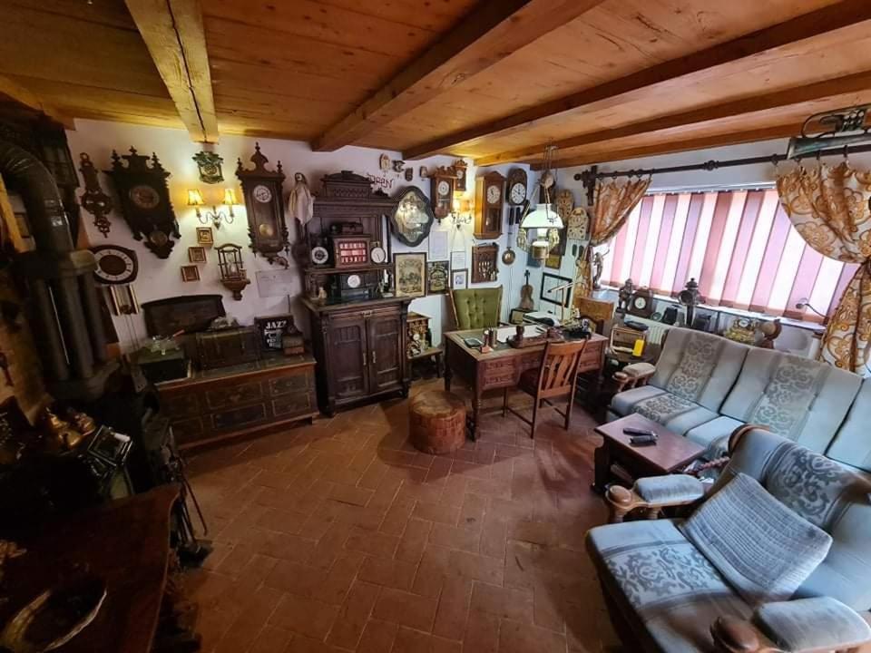 Pensiunea Otilia Σιγκισοάρα Εξωτερικό φωτογραφία